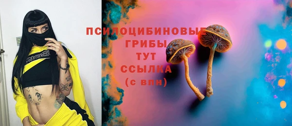 ГАЛЛЮЦИНОГЕННЫЕ ГРИБЫ Лиски