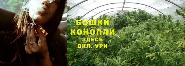 ГАЛЛЮЦИНОГЕННЫЕ ГРИБЫ Лиски
