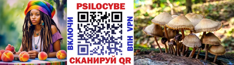 Галлюциногенные грибы мухоморы  Тюкалинск 
